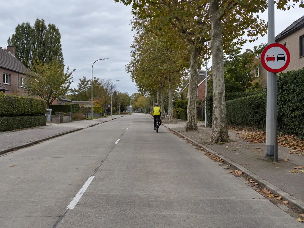 Weg buiten het centrum met een fietser op de rijbaan voor u; het bord staat rechts op een paal.
