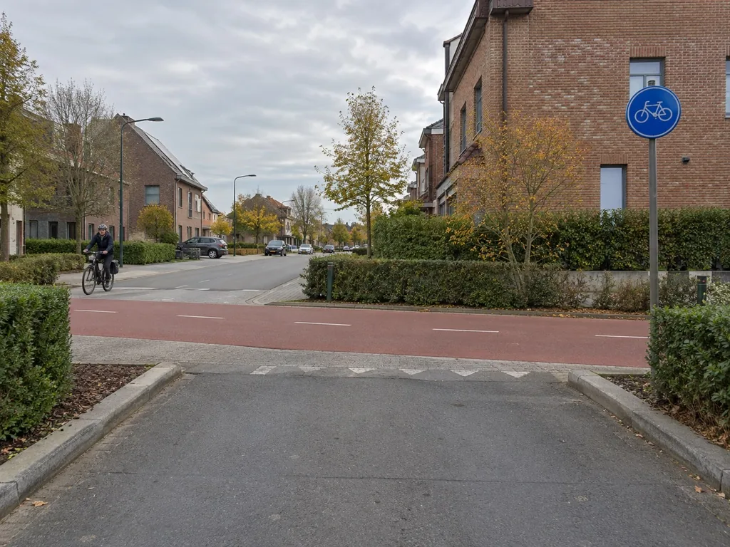 Parkinguitrit die een rood fietspad kruist, een fietser nadert van links.